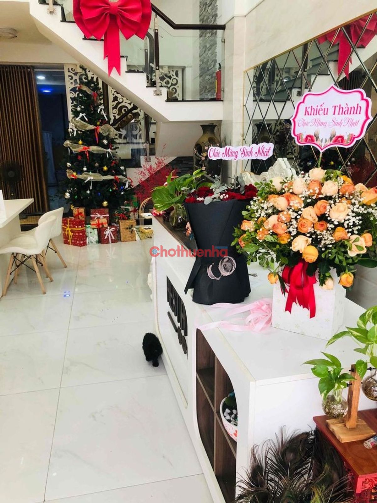 Sang spa đang hoạt động tốt tại đường Thống Nhất, Phường 11, Gò Vấp