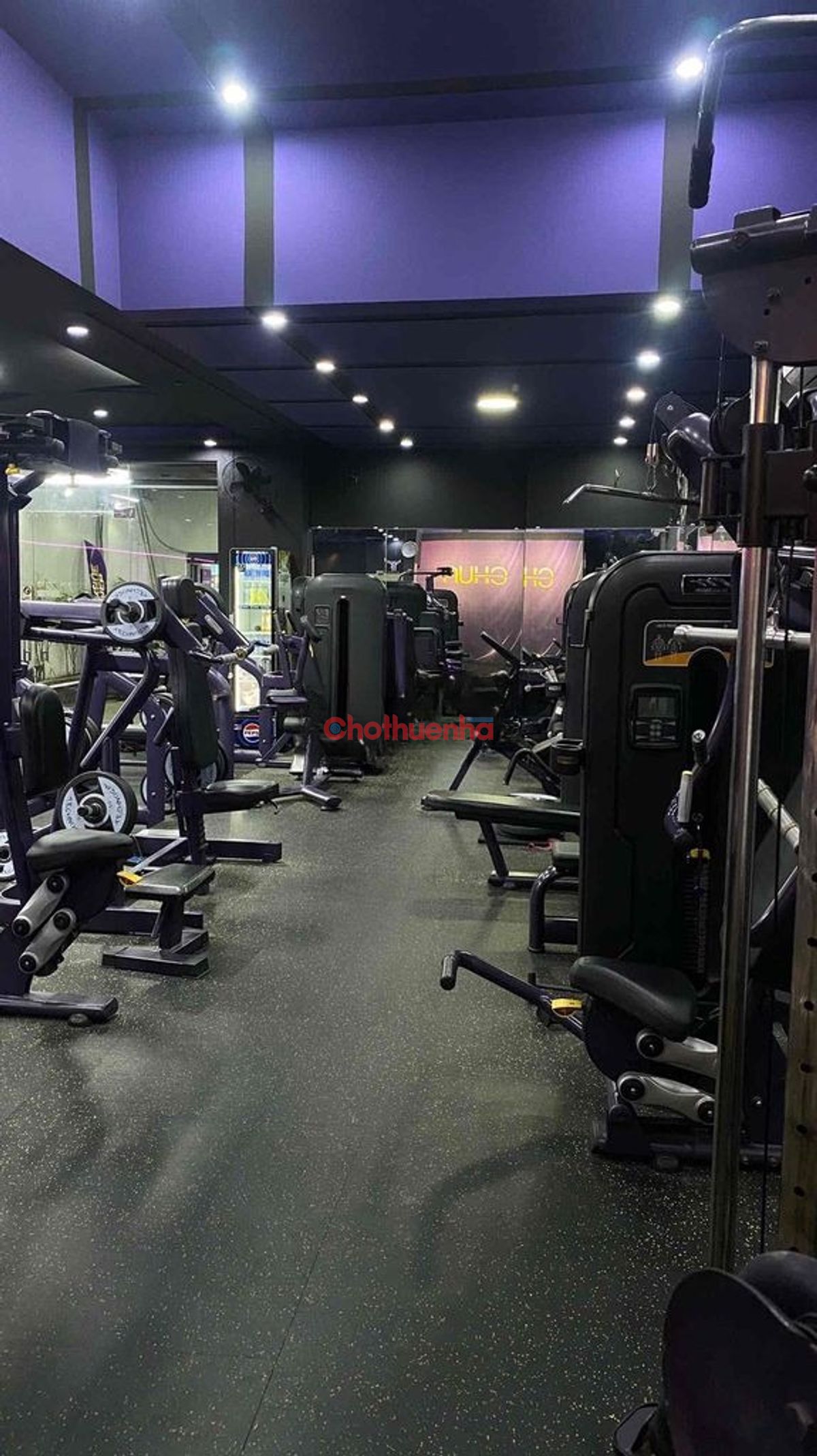 Cho thuê nhà mặt tiền đường Cách Mạng Tháng 8, Phường 7, Tân Bình - 8x20m, Trệt suốt - 50tr