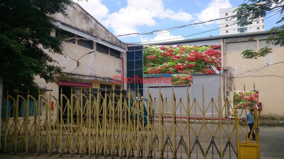 Cần cho thuê nhà kho đường Nguyễn Nghiêm - diện tích 500m2 - nhận ngay