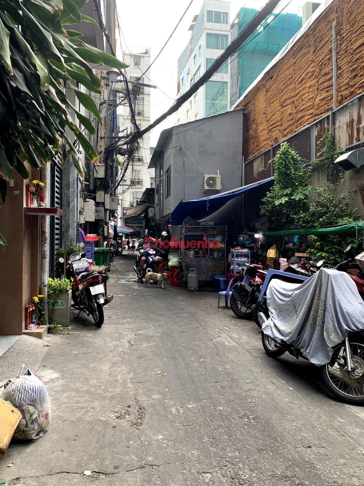 Cho thuê nhà nguyên căn Thủ Khoa Huân, Bến Thành, Quận 1, gần chợ bến thành, Lê Lợi,...