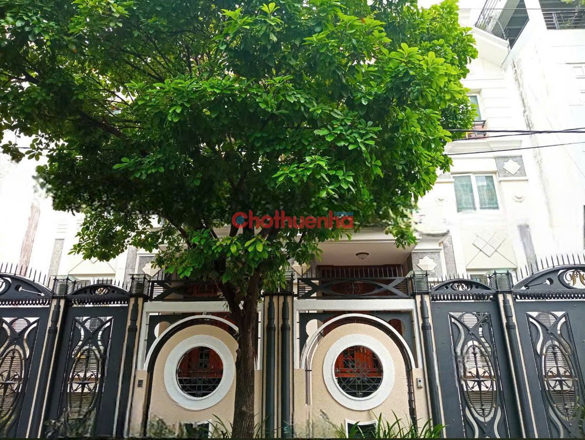 cho thuê biệt thự sân vườn khu K300 - Nguyễn Minh Hoàng, Phường 12, Q.Tân Bình - Ngang to 8M