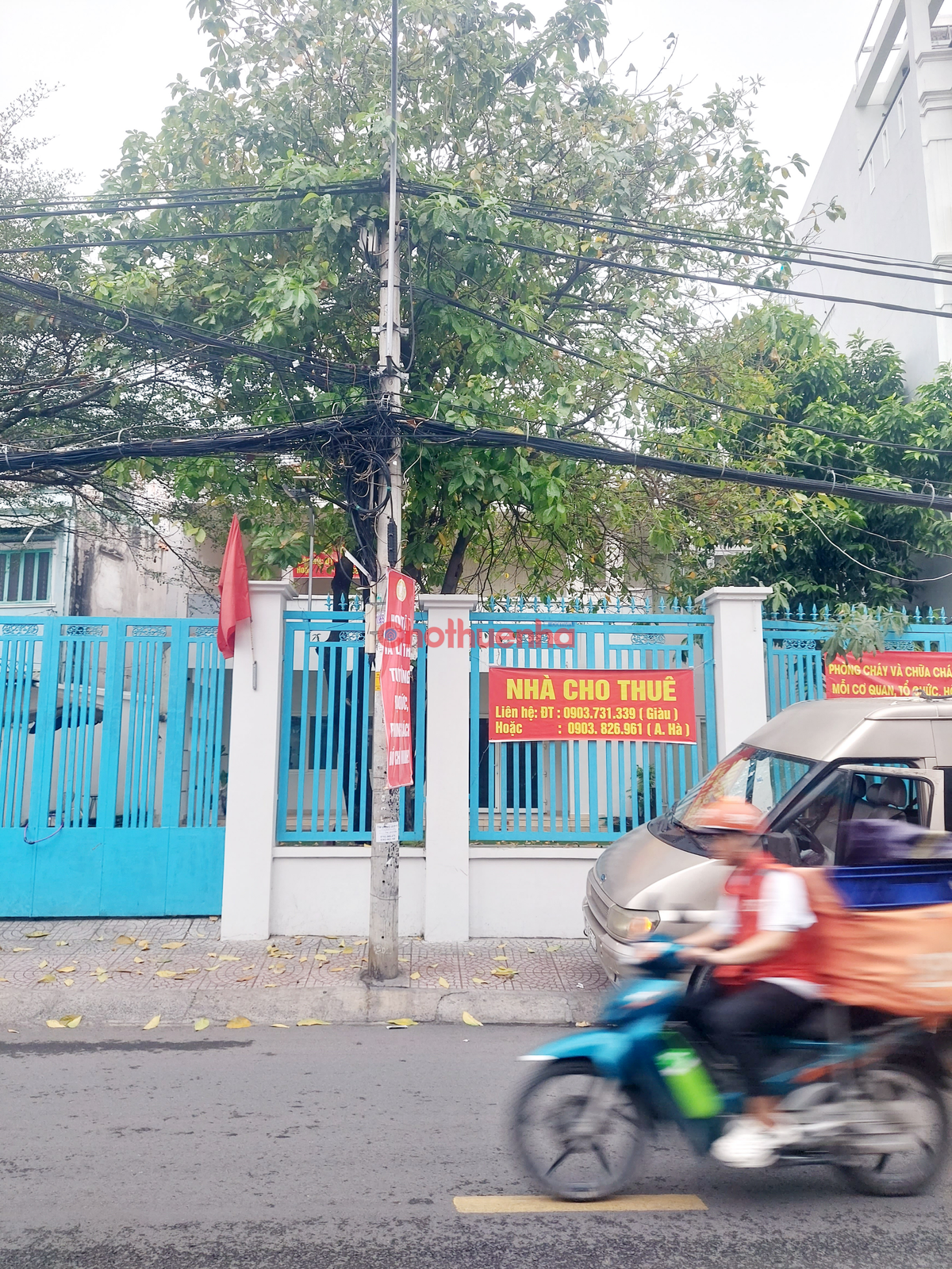 Cho thuê nhà mặt tiền đường trần quý cáp, phường 11, quận bình thạnh - dt: 18,5x28m