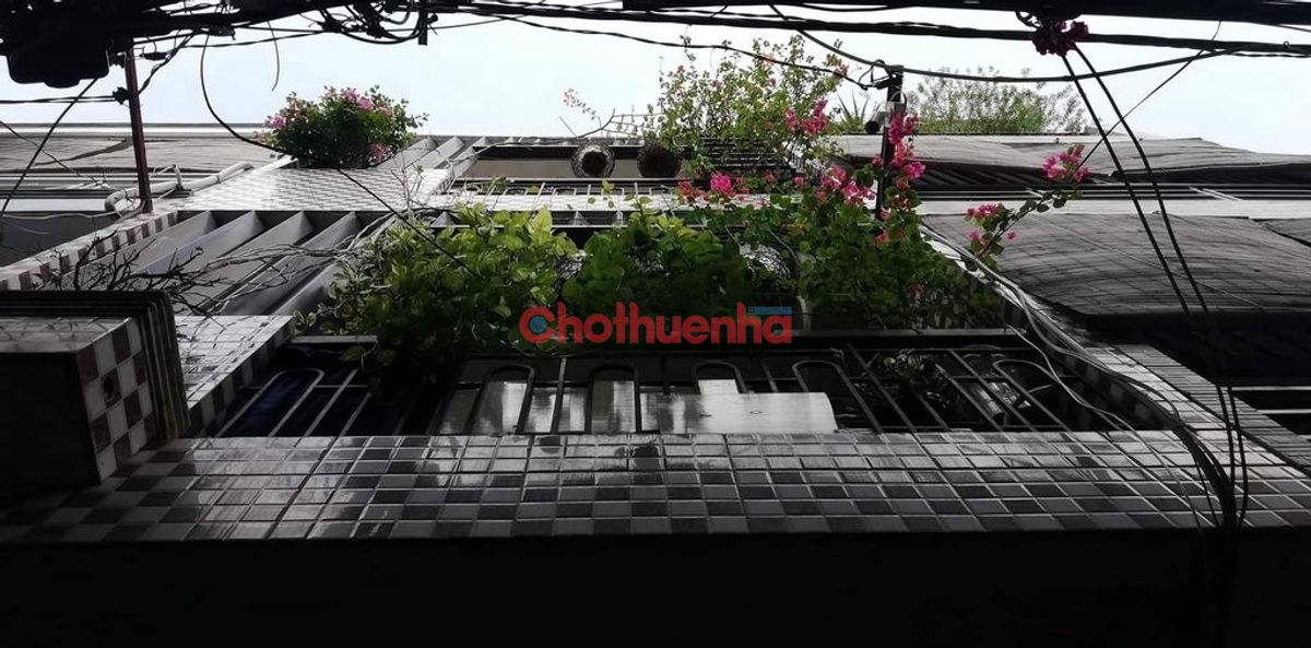 NHÀ NGUYÊN CĂN LÝ THÁI TỔ - P.10 - Q.10