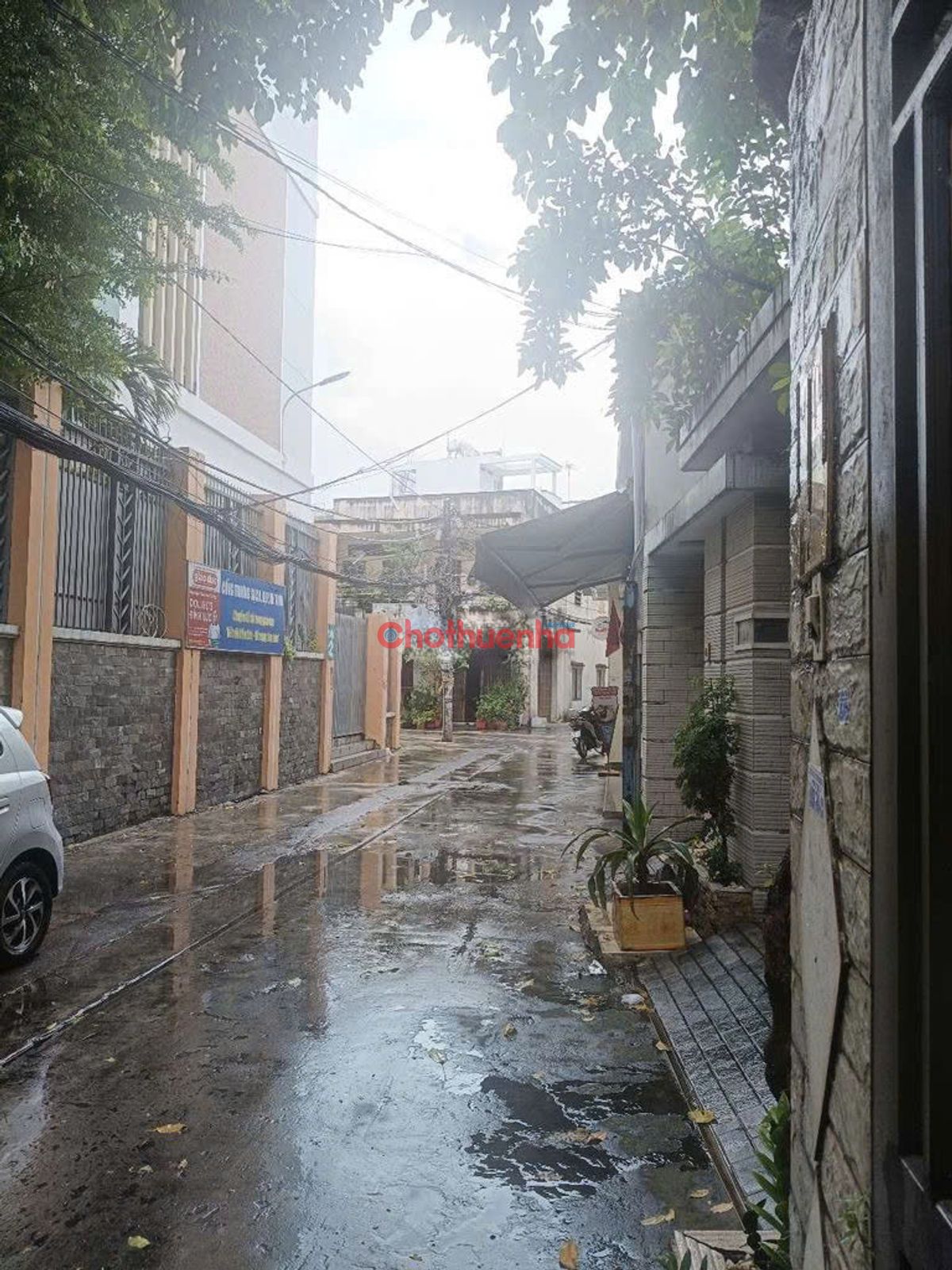 Cho thuê nhà nguyên căn  Hòa Bình, Phường 5, Quận 11