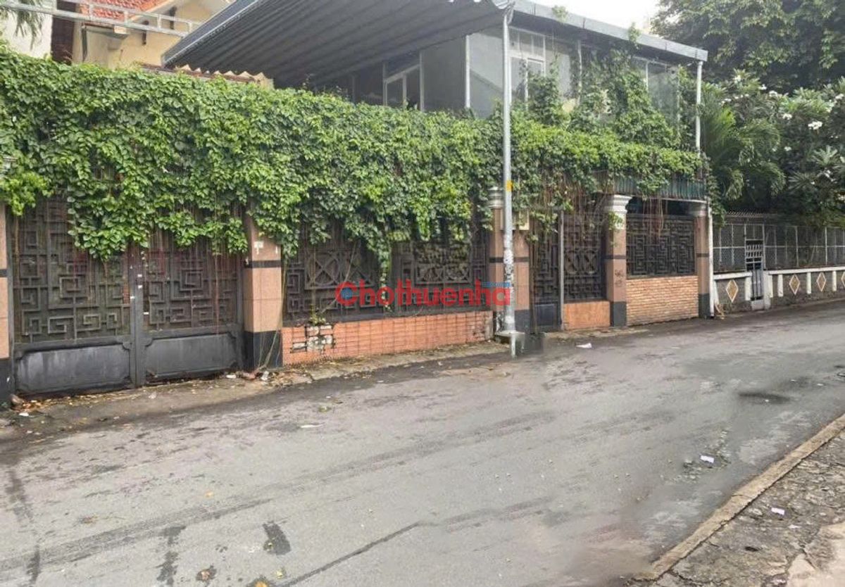 Cho Thuê Nhà MT Trung Tân Q Tân Bình