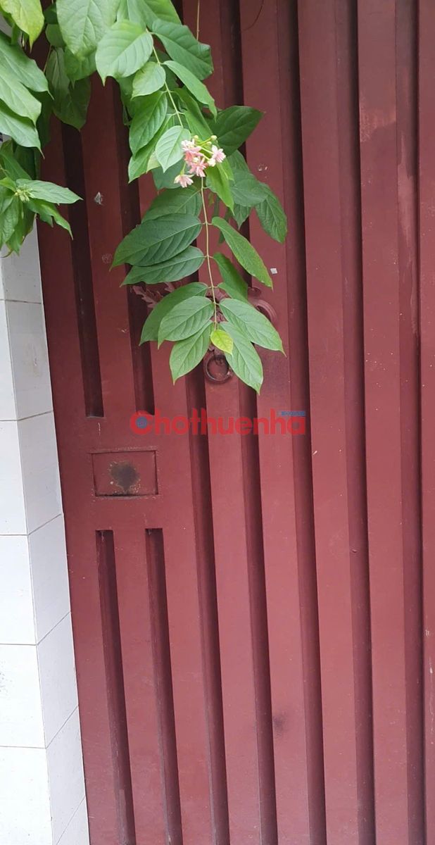 Cho thuê nhà hẻm xe hơi Bình Thạnh - 3 tầng - 3 phòng - có sân vườn.