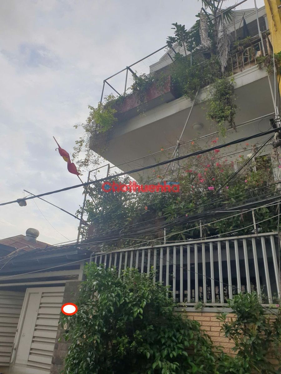 Cho thuê nhà nguyên căn ngang 8m – Hoàng Văn Thụ, Phường 1, Tân Bình