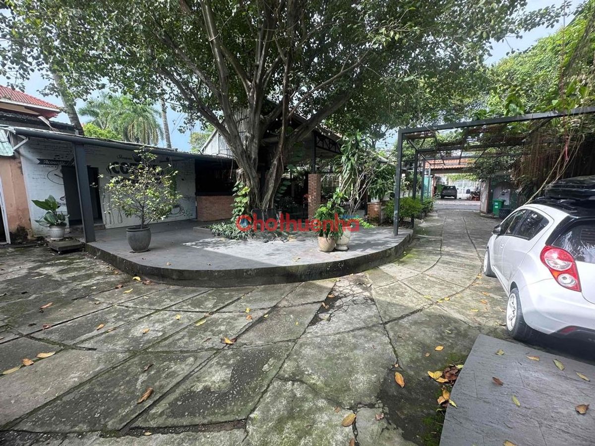 Cho thuê MB đường Hồng Đức, Phường Bình Thọ, Quận Thủ Đức.