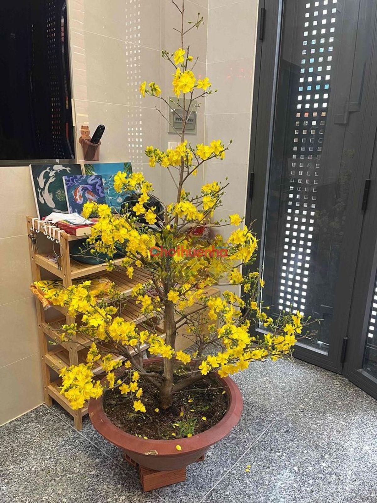 Cho thuê nhà nguyên căn Lò Siêu, P.8, Quận 11 - 3.7x10.5m, 4 Tầng, 4 PN - HXT