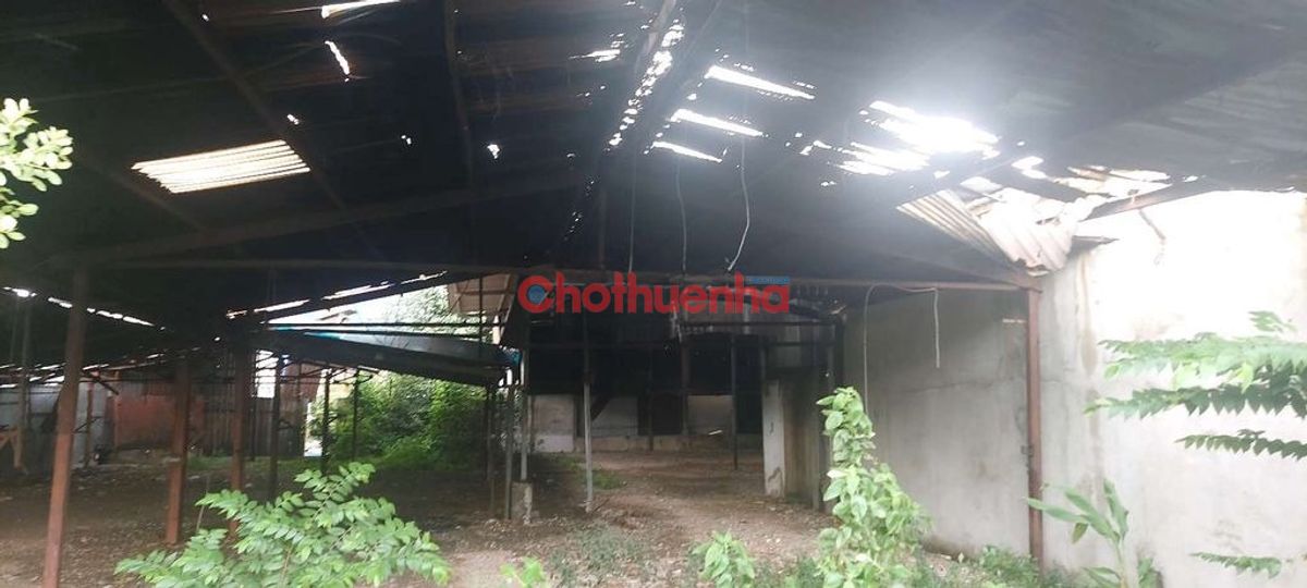 Cho thuê đất, Trường Chinh, Tân Phú