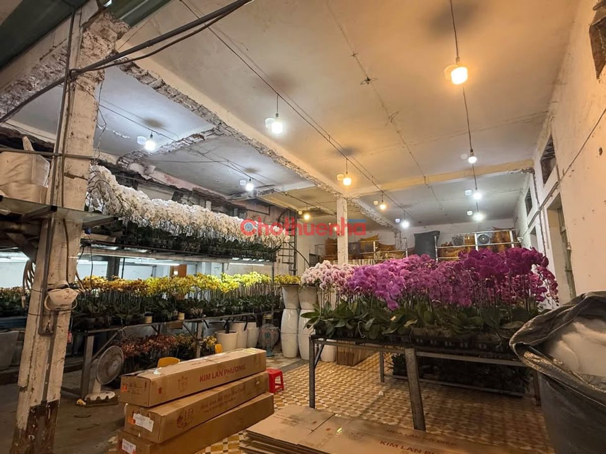 Cho Thuê MBKD ngang 12.5m đường Lê Hồng Phong – diện tích lớn và hiếm