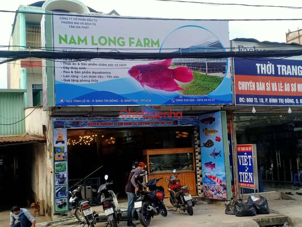 CHO THUÊ NHÀ MẶT TIỀN TỈNH LỘ 10 – PHƯỜNG BÌNH TRỊ ĐÔNG, QUẬN BÌNH TÂN