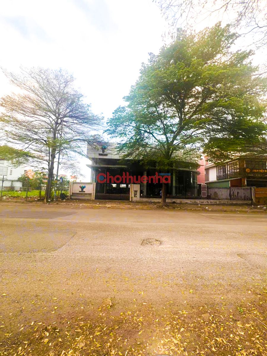 Cho thuê nhà mặt tiền đường 14, phường Tân Phong, quận 7, Dt: 20x25m