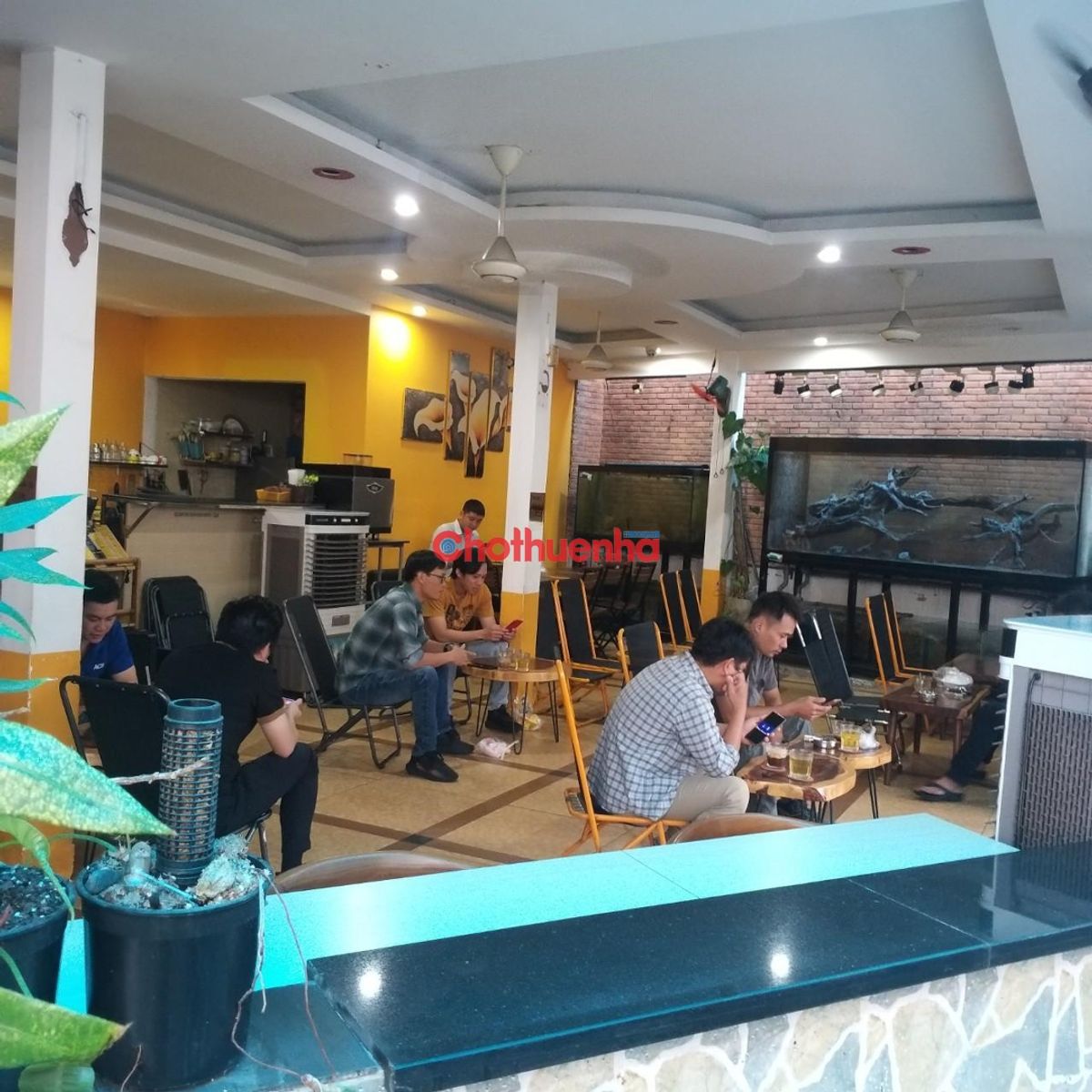 CHO THUÊ NHÀ NGUYÊN CĂN CÁCH MẠNG THÁNG 8, PHƯỜNG 15, QUẬN 10 - CÓ SÂN VƯỜN