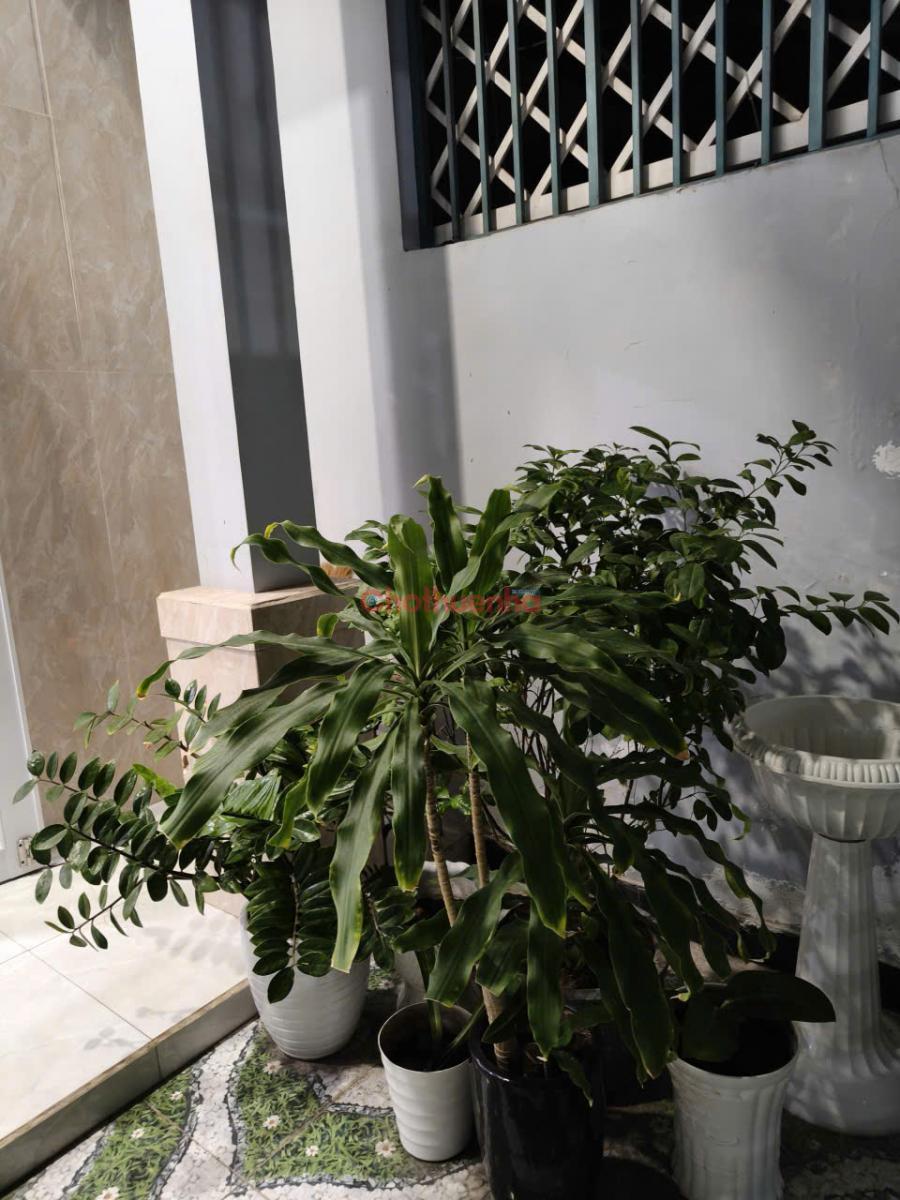 Cho thuê nhà riêng tại K27 Võ Văn Tần - Phan Thiết - Bình Thuận, 8 triệu/tháng VND, 100m2